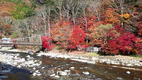 お金 の かからない デート 栃木|【栃木】カップルにおすすめのデートスポット20選！定 .